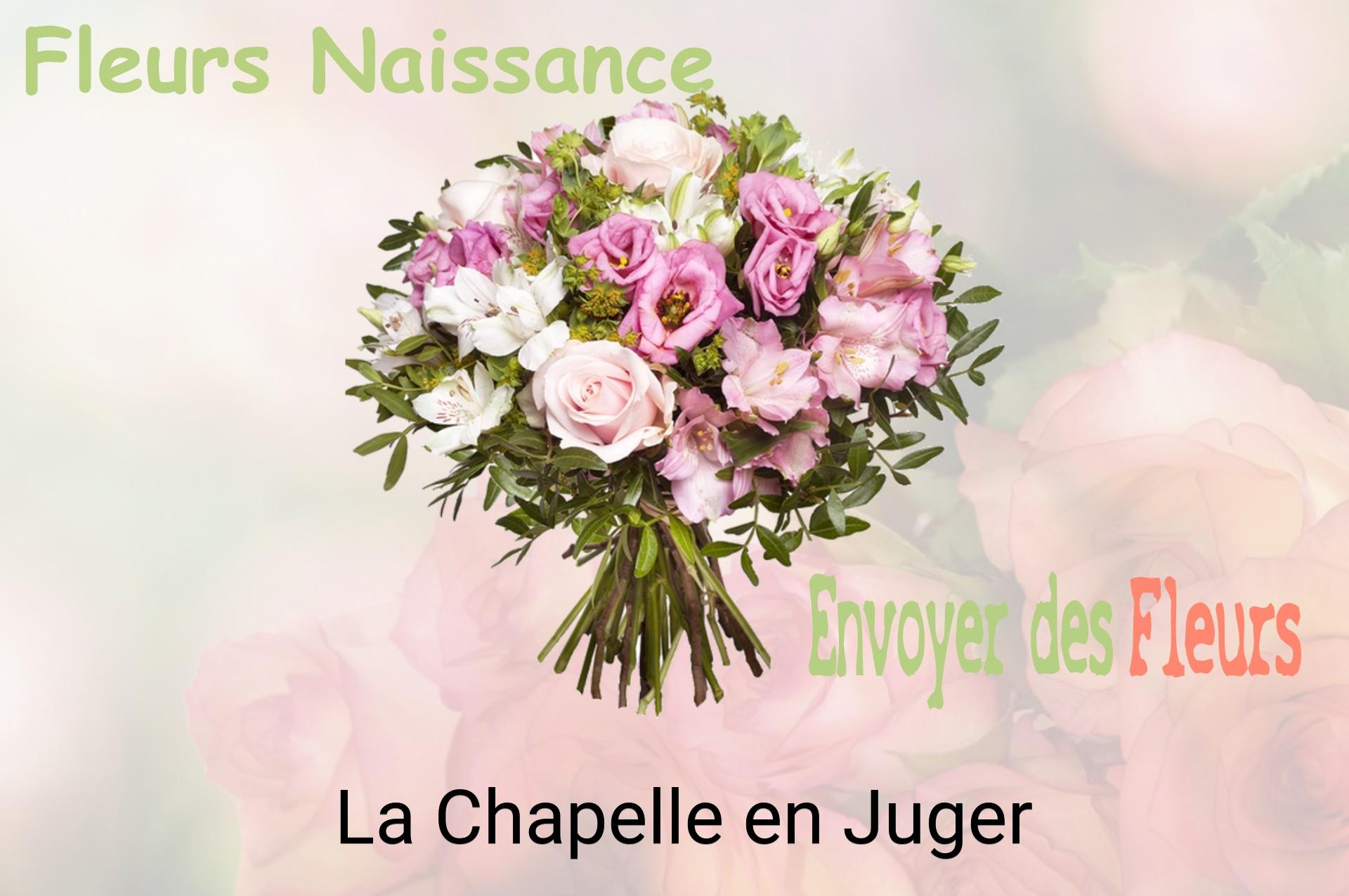 Bouquet de fleurs de naissance livré à La Chapelle-en-Juger